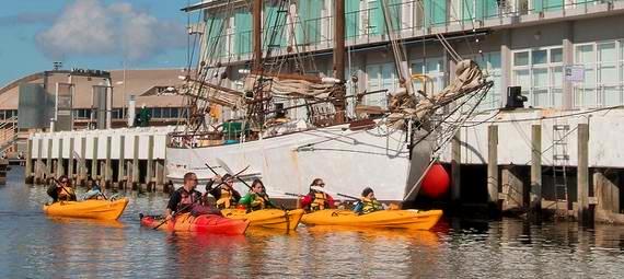 Hobart City Kayaking Half Day Tour