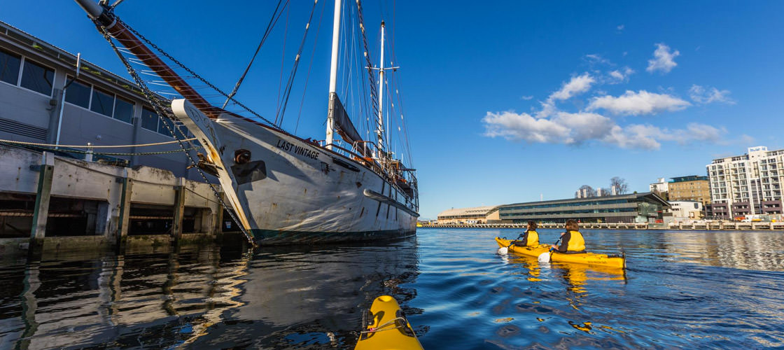 Hobart City Kayaking Half Day Tour Experience Oz