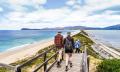 Bruny Island Sightseeing and Lighthouse Tour with Lunch Thumbnail 4