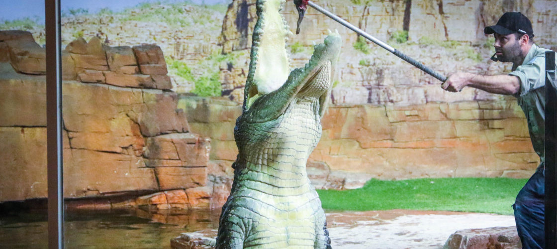 Ballarat Wildlife Park Tickets