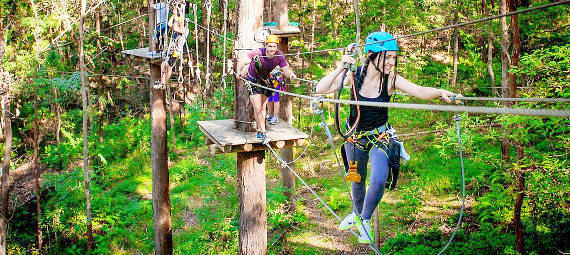 TreeTop Challenge at Currumbin Wildlife Sanctuary