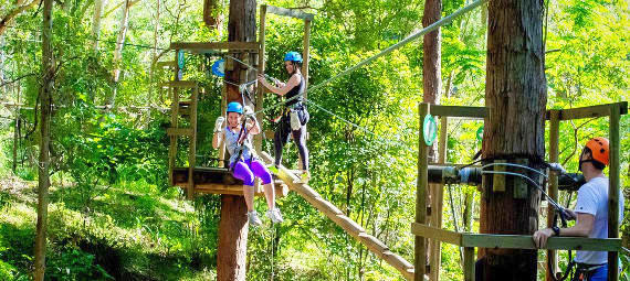 TreeTop Challenge at Currumbin Wildlife Sanctuary