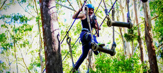 TreeTop Challenge at Currumbin Wildlife Sanctuary