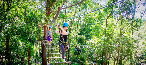 TreeTop Challenge at Currumbin Wildlife Sanctuary