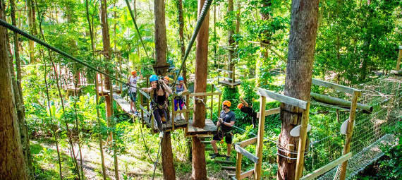 TreeTop Challenge at Currumbin Wildlife Sanctuary
