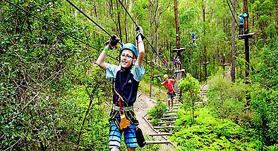 Currumbin Wildlife Sanctuary Tree Top Challenge