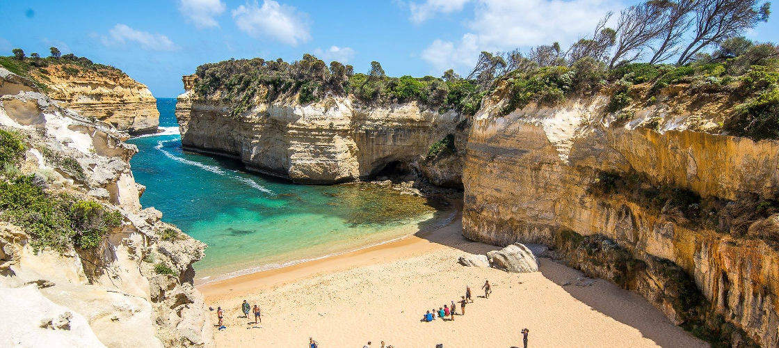 Reverse Great Ocean Road and Rainforest Tour