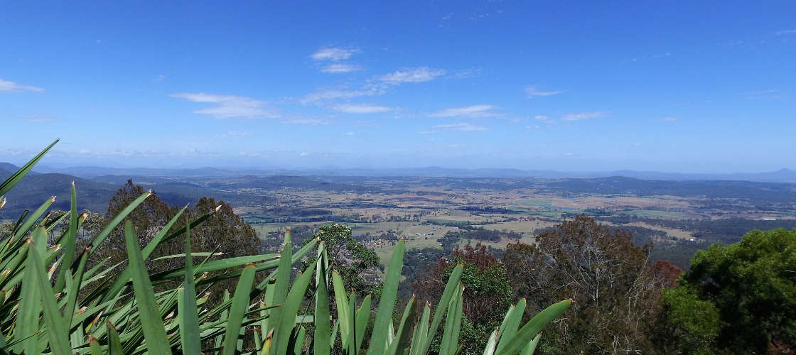 Half Day Natural Bridge and Springbrook Guided Tour