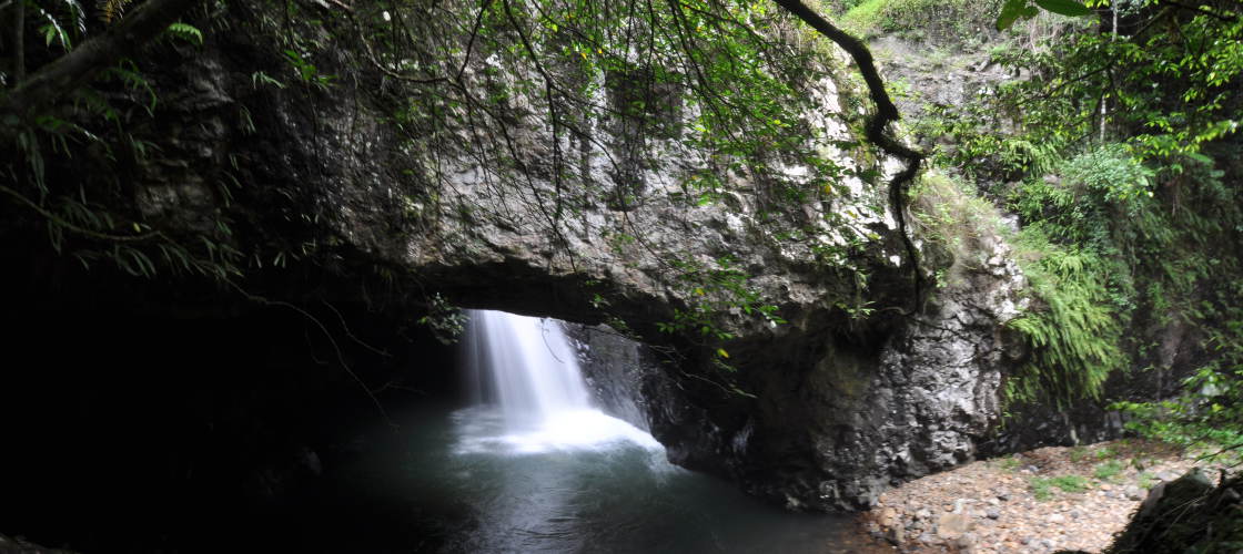 Half Day Natural Bridge and Springbrook Guided Tour