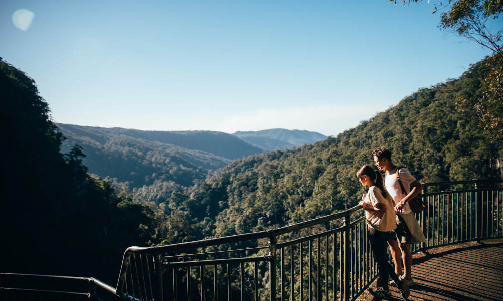 Natural Bridge and Springbrook Guided Afternoon Tour including Afternoon Tea