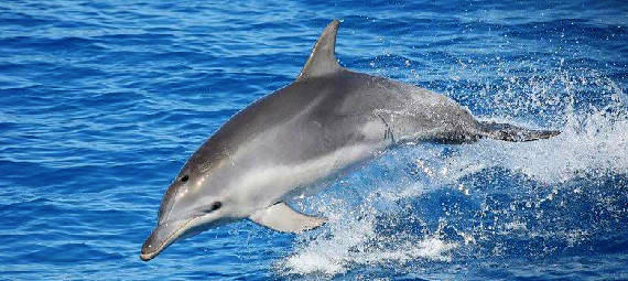 Remote Fraser Island Full Day Tour