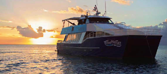 Remote Fraser Island Full Day Tour