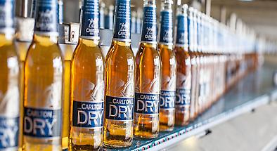 Carlton Brewhouse Brewery Tours