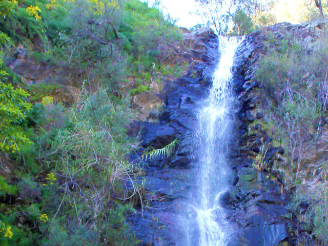 Waterfall Gully