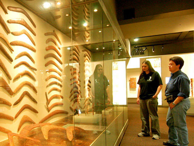 Free Things To Do  South Australian Museum
