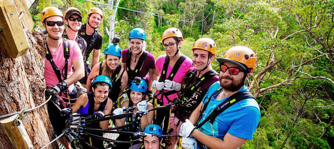 Gold Coast Hinterland Zip Line Tour with 4WD Experience