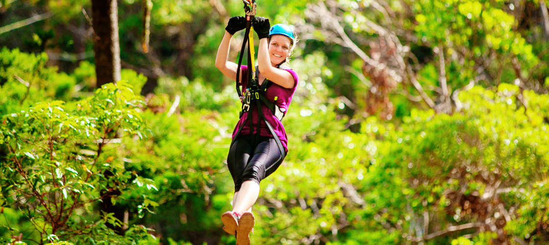 Gold Coast Hinterland Zip Line Tour with 4WD Experience