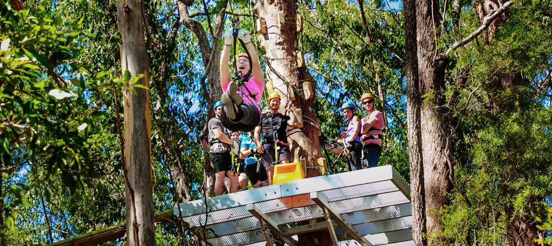 Gold Coast Hinterland Zip Line Tour with 4WD Experience