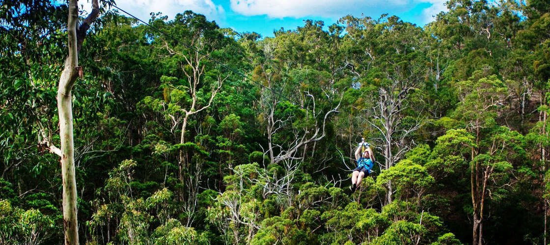 Gold Coast Hinterland Zip Line Tour with 4WD Experience