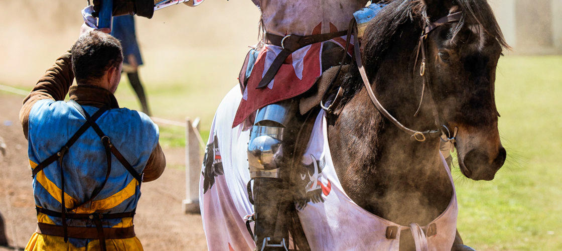 Kryal Castle General Admission