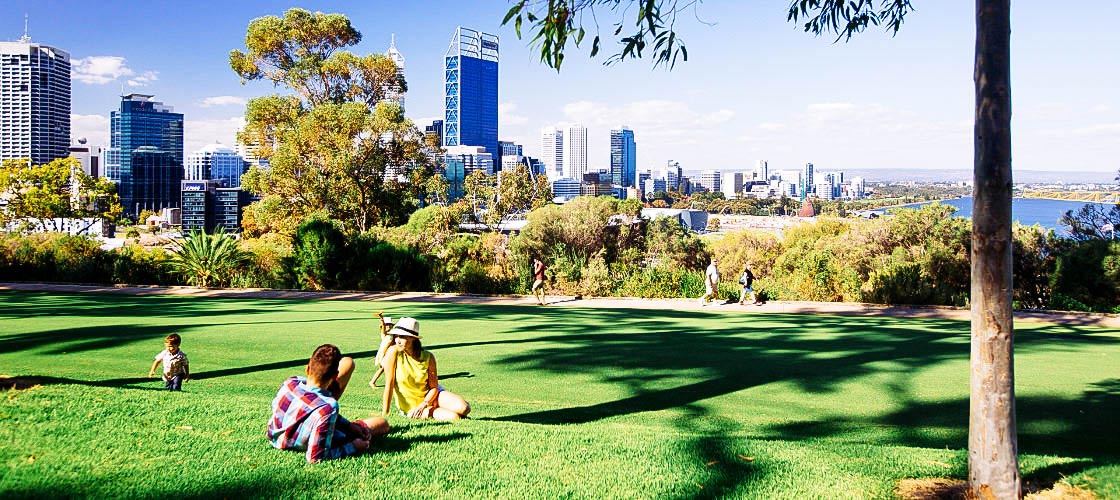 Free Things To Do  Kings Park
