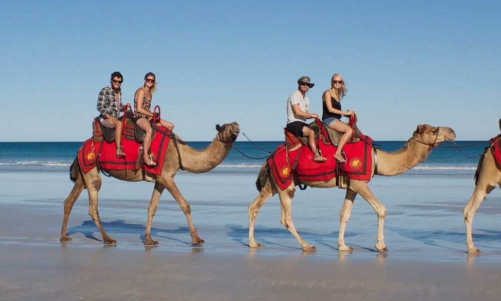 Broome Cable Beach Morning Camel Ride Experience Oz