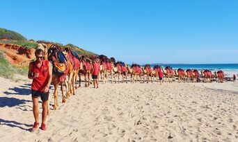 Cable Beach Pre Sunset Sampler Camel Ride Thumbnail 2