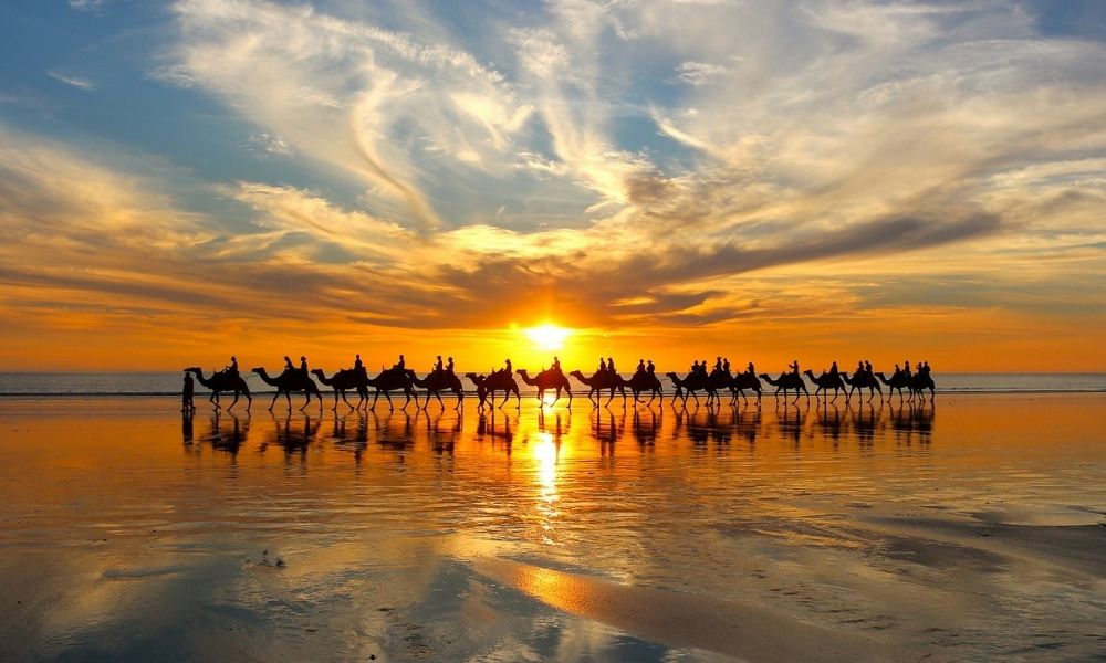 Cable Beach Sunset Camel Ride