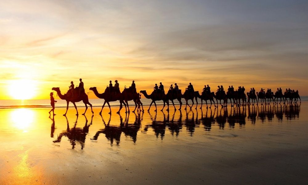 Cable Beach Sunset Camel Ride Experience Oz