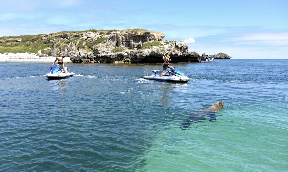 60 Minute Eco Jet Ski Tour