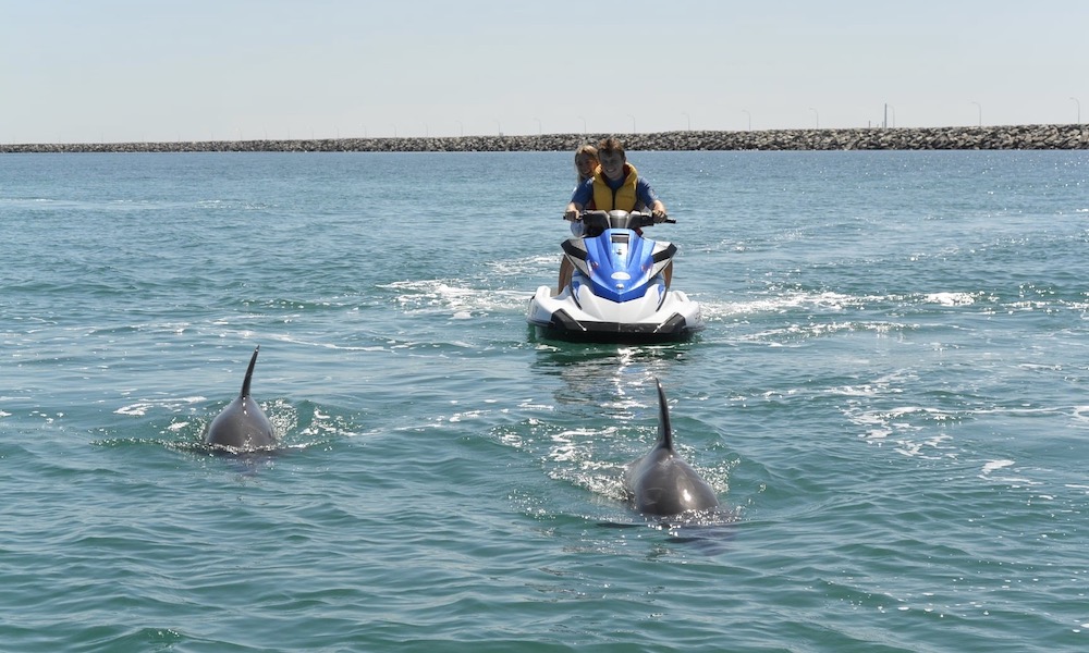 60 Minute Eco Jet Ski Tour