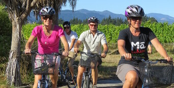 Half Day Guided Biking Wine Tour Thumbnail 1
