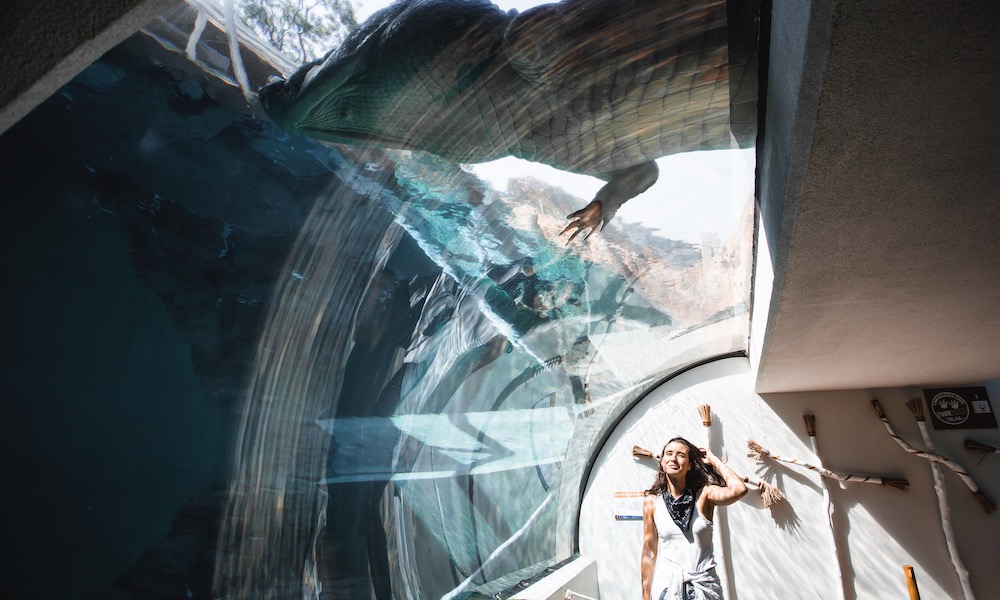 Cage of Death Tandem Dive