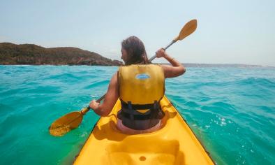 Noosa Dolphin Kayaking Experience