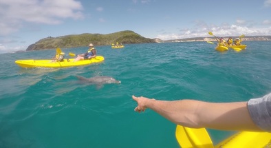 Rainbow Beach Kayaking with Dolphins and 4WD Beach Drive Adventure