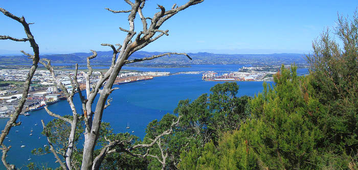 Free Things To Do  Mount Maunganui Summit Track