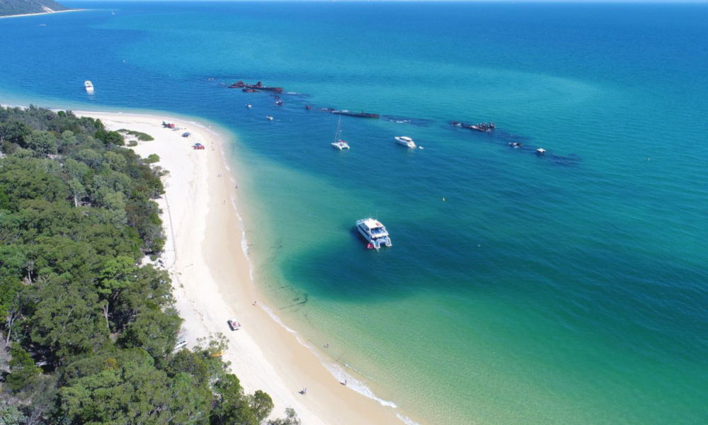 Moreton Island Dolphin Spotting and Snorkelling Cruise departing from Redcliffe