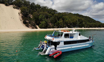 Moreton Island Dolphin Spotting and Snorkelling Cruise departing from Redcliffe Thumbnail 5