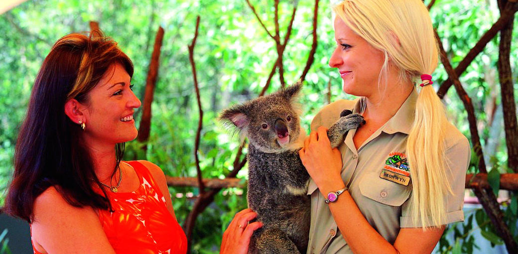 Hartleys Crocodile Adventures Breakfast with Koalas