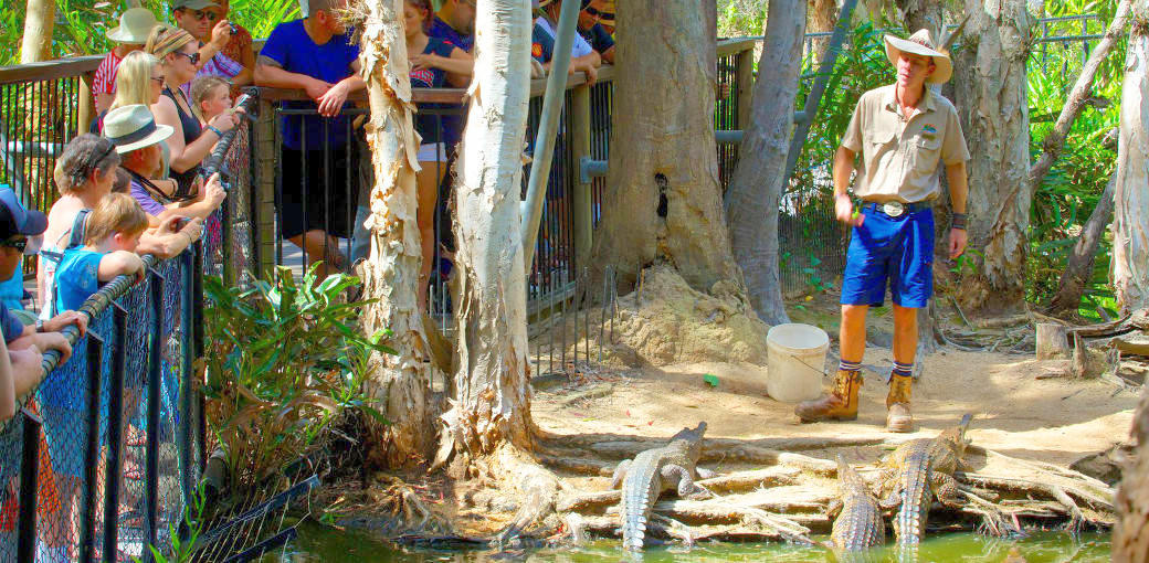 Hartleys Crocodile Adventures Breakfast with Koalas