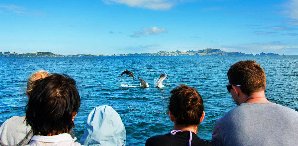 Bay of Islands Hole in the Rock Dolphin Cruise with Lunch Corner of Marsden and Williams Rds Paihia NA 2000