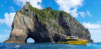 Bay of Islands Hole in the Rock Dolphin Cruise with Lunch Thumbnail 3
