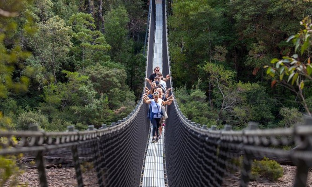 Tahune AirWalk and Hastings Caves Tour From Hobart