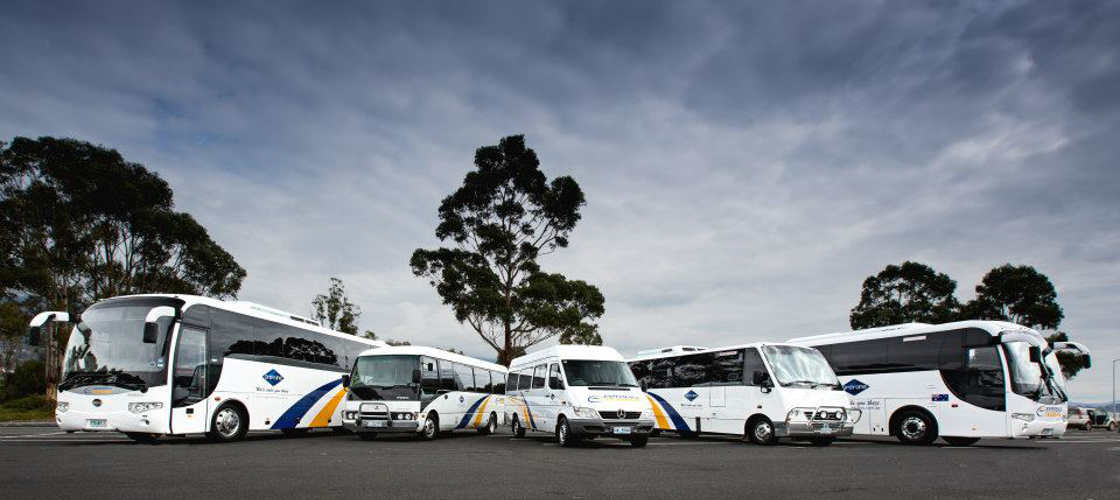 Cradle Mountain World Heritage Day Tour