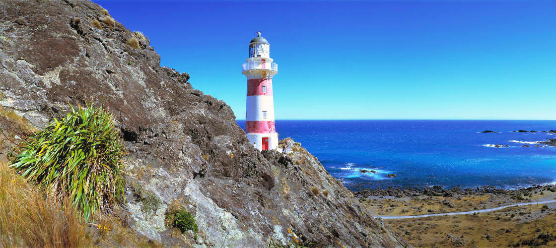 Wellington City Sights and Coastline Tour - 9am Wellington City Sights & Coastline Tour