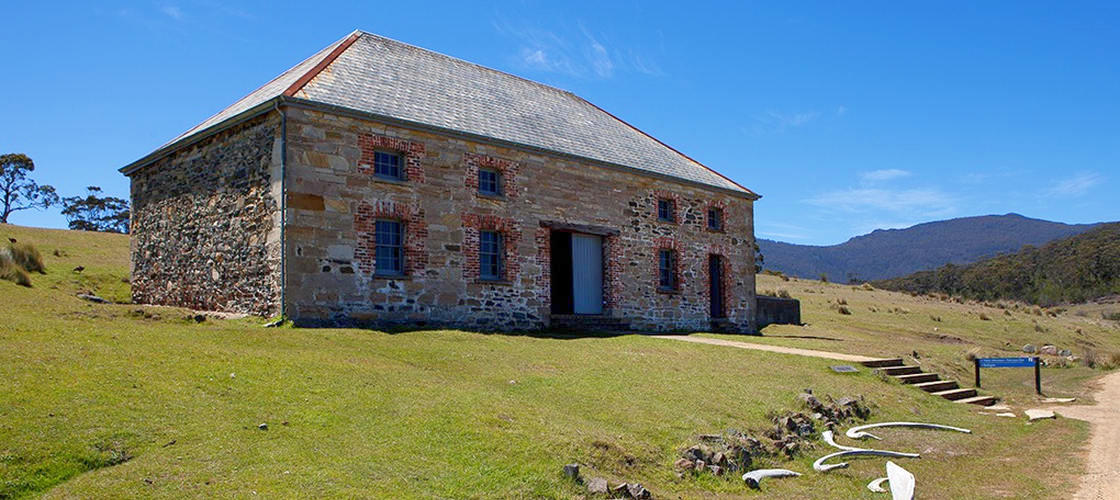 Maria Island National Park Tour from Hobart