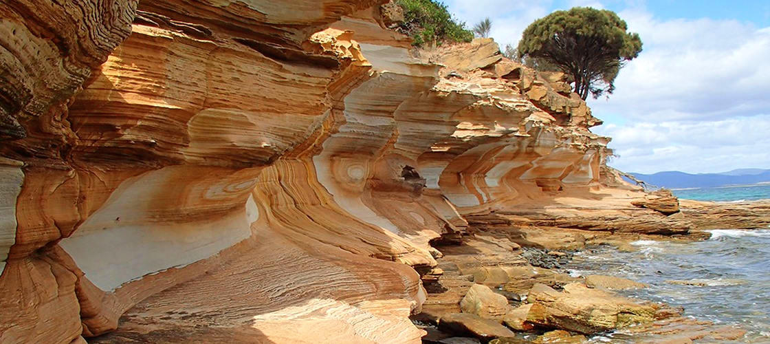 Maria Island National Park Tour from Hobart