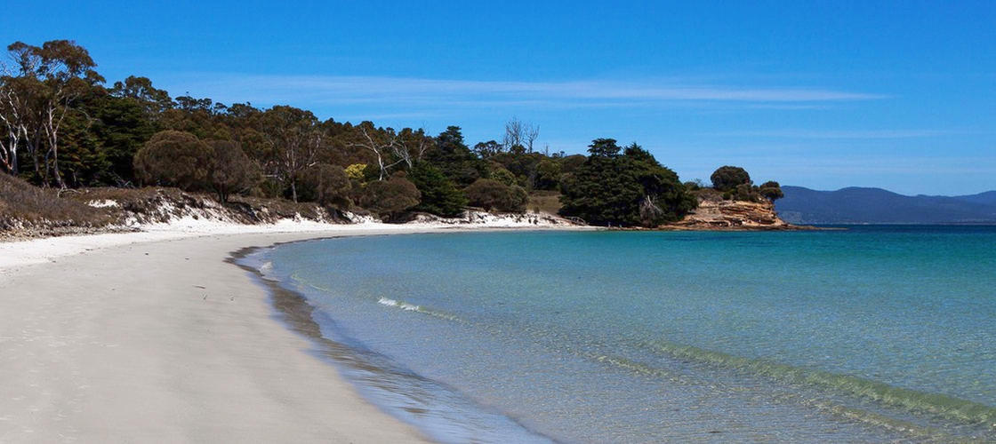 Maria Island National Park Tour from Hobart