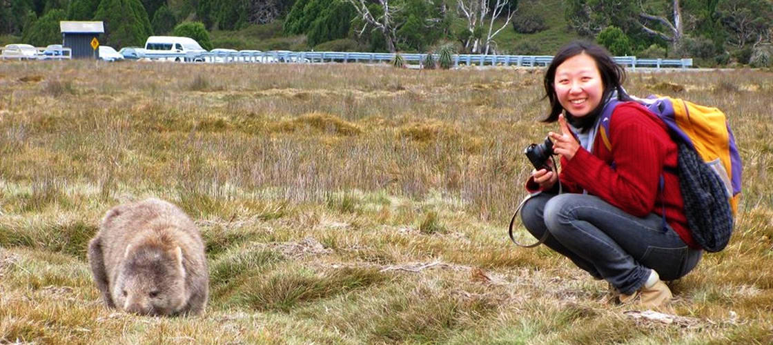 Cradle Mountain World Heritage Day Tour from Launceston