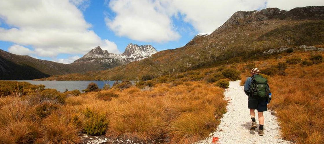 Cradle Mountain World Heritage Day Tour from Launceston